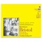 Strathmore 300 Series Bristol Pad - 14" x 17", Smooth, 20 Sheets